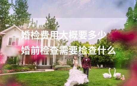 婚检费用大概要多少 婚前检查需要检查什么