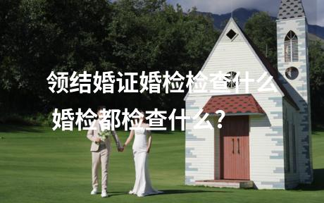 领结婚证婚检检查什么 婚检都检查什么?