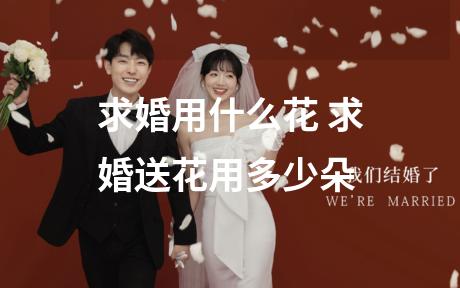 求婚用什么花 求婚送花用多少朵