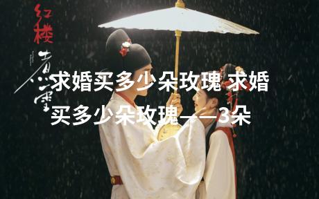 求婚买多少朵玫瑰 求婚买多少朵玫瑰——3朵