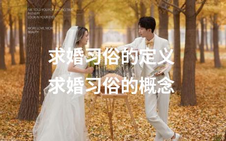 求婚习俗的定义 求婚习俗的概念