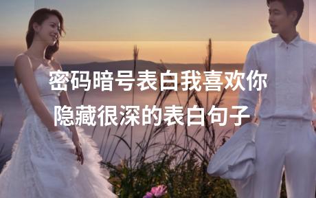 密码暗号表白我喜欢你 隐藏很深的表白句子
