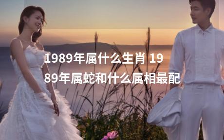 1989年属什么生肖 1989年属蛇和什么属相最配