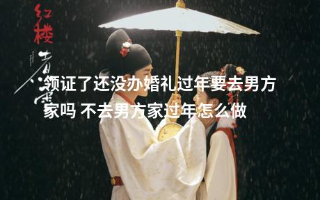 领证了还没办婚礼过年要去男方家吗 不去男方家过年怎么做