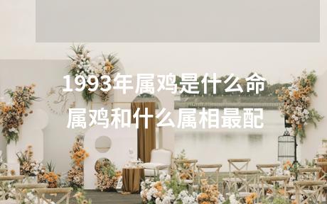 1993年属鸡是什么命 属鸡和什么属相最配