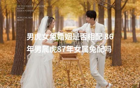 男虎女兔婚姻是否相配 86年男属虎87年女属兔配吗