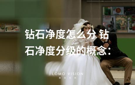 钻石净度怎么分 钻石净度分级的概念：