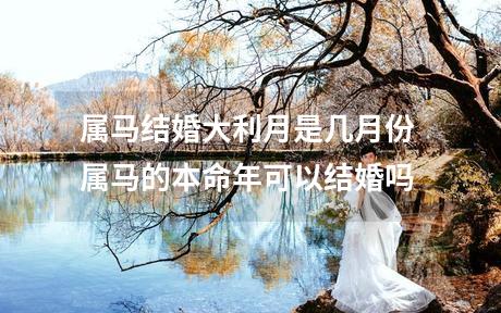 属马结婚大利月是几月份 属马的本命年可以结婚吗