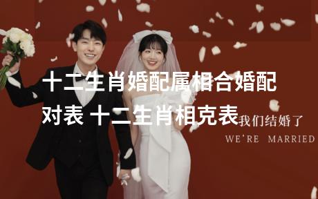 十二生肖婚配属相合婚配对表 十二生肖相克表