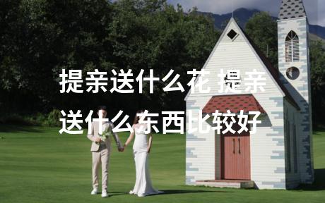 提亲送什么花 提亲送什么东西比较好