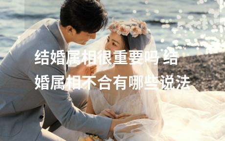 结婚属相很重要吗 结婚属相不合有哪些说法