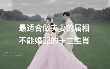 最适合做夫妻的属相 不能婚配的十二生肖