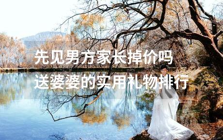 先见男方家长掉价吗 送婆婆的实用礼物排行