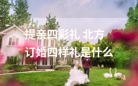 提亲四彩礼 北方订婚四样礼是什么