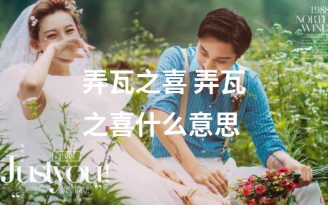 弄瓦之喜 弄瓦之喜什么意思