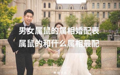 男女属鼠的属相婚配表 属鼠的和什么属相最配