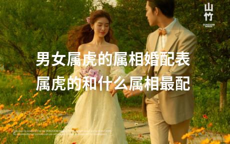 男女属虎的属相婚配表 属虎的和什么属相最配