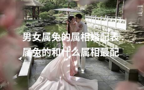 男女属兔的属相婚配表 属兔的和什么属相最配