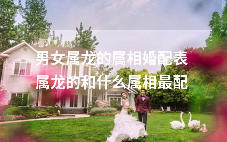 男女属龙的属相婚配表 属龙的和什么属相最配