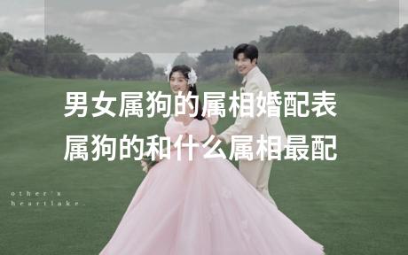 男女属狗的属相婚配表 属狗的和什么属相最配
