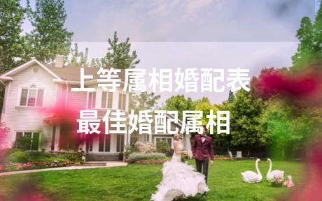 上等属相婚配表 最佳婚配属相