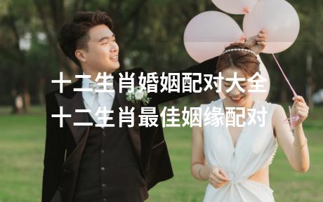 十二生肖婚姻配对大全 十二生肖最佳姻缘配对