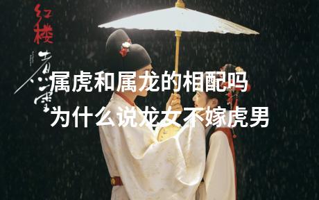 属虎和属龙的相配吗 为什么说龙女不嫁虎男