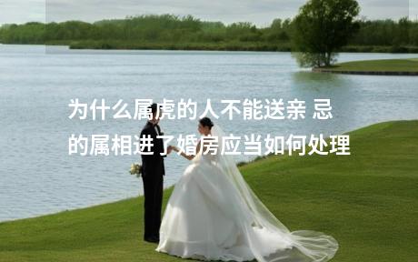 为什么属虎的人不能送亲 忌的属相进了婚房应当如何处理