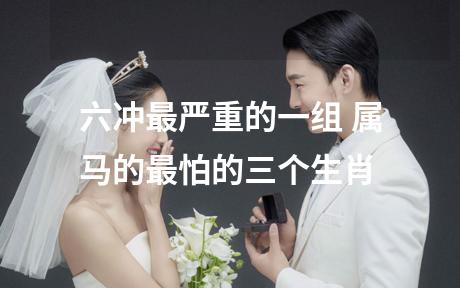 六冲最严重的一组 属马的最怕的三个生肖