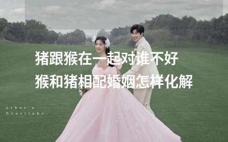 猪跟猴在一起对谁不好 猴和猪相配婚姻怎样化解