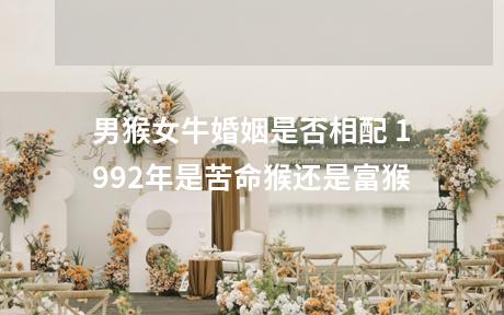 男猴女牛婚姻是否相配 1992年是苦命猴还是富猴
