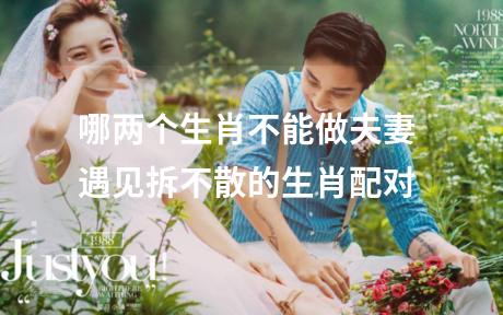 哪两个生肖不能做夫妻 遇见拆不散的生肖配对