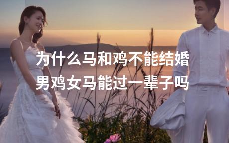 为什么马和鸡不能结婚 男鸡女马能过一辈子吗