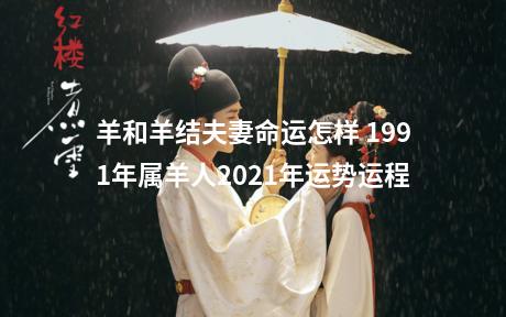 羊和羊结夫妻命运怎样 1991年属羊人2021年运势运程