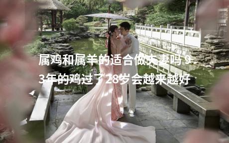 属鸡和属羊的适合做夫妻吗 93年的鸡过了28岁会越来越好