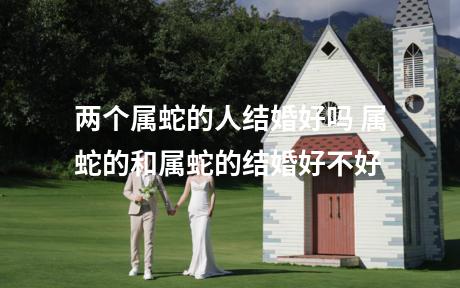 两个属蛇的人结婚好吗 属蛇的和属蛇的结婚好不好