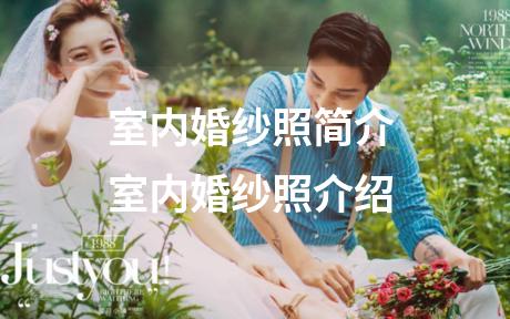 室内婚纱照简介 室内婚纱照介绍