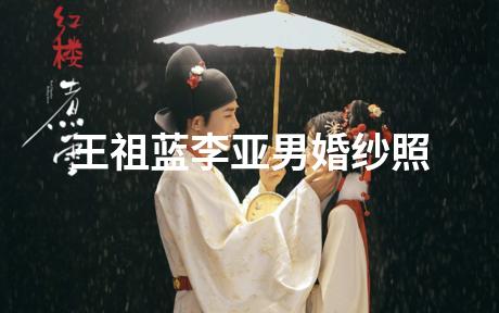 王祖蓝李亚男婚纱照
