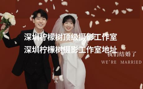 深圳柠檬树顶级摄影工作室 深圳柠檬树摄影工作室地址