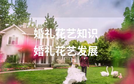 婚礼花艺知识 婚礼花艺发展