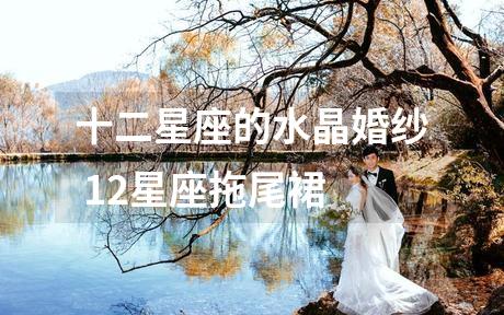 十二星座的水晶婚纱 12星座拖尾裙