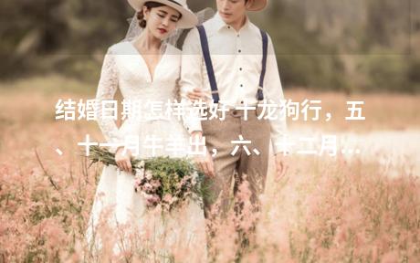 结婚日期怎样选好 十龙狗行，五、十一月牛羊出，六、十二月鼠马同。