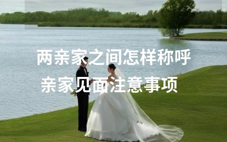 两亲家之间怎样称呼 亲家见面注意事项