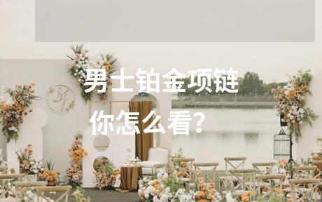 男士铂金项链 你怎么看？