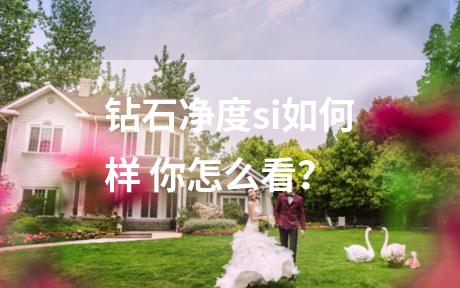 钻石净度si如何样 你怎么看？