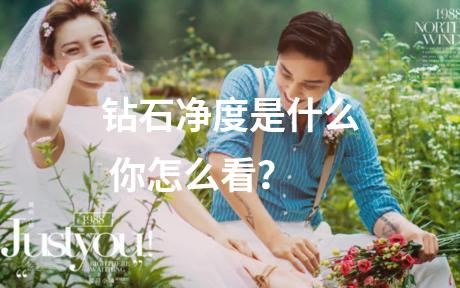 钻石净度是什么 你怎么看？
