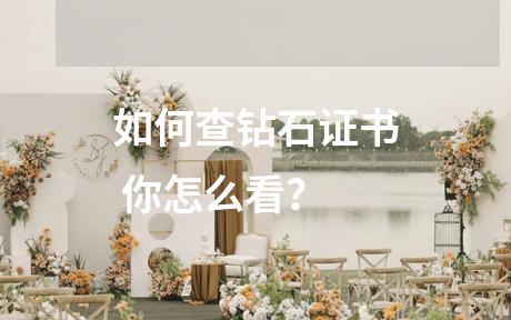 如何查钻石证书 你怎么看？