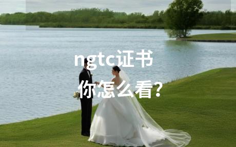 ngtc证书 你怎么看？