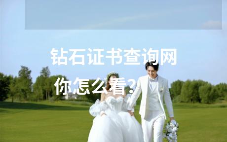 钻石证书查询网 你怎么看？