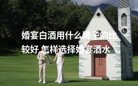 婚宴白酒用什么牌子的比较好 怎样选择婚宴酒水